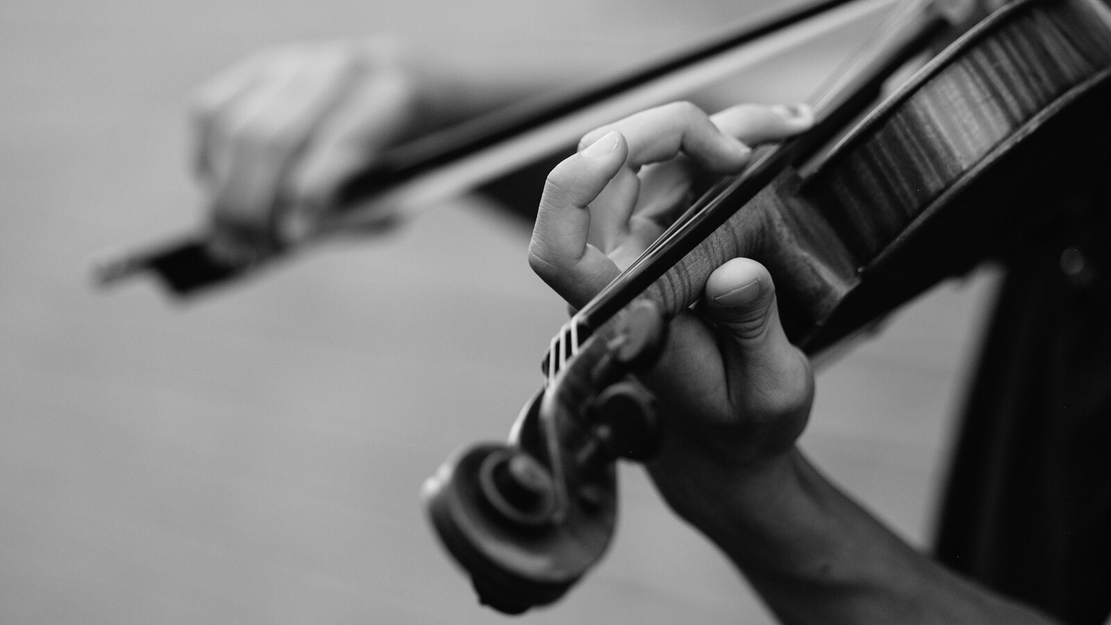 Violin